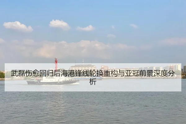 武磊伤愈回归后海港锋线轮换重构与亚冠前景深度分析